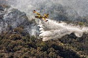 SEGNALATA_SAMBUCO MASSIMO_Canadair